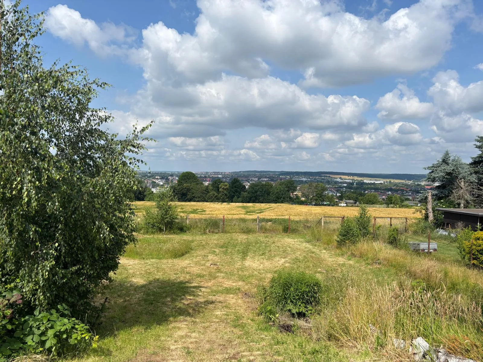 Grundstück in Zwickau - Bild 1